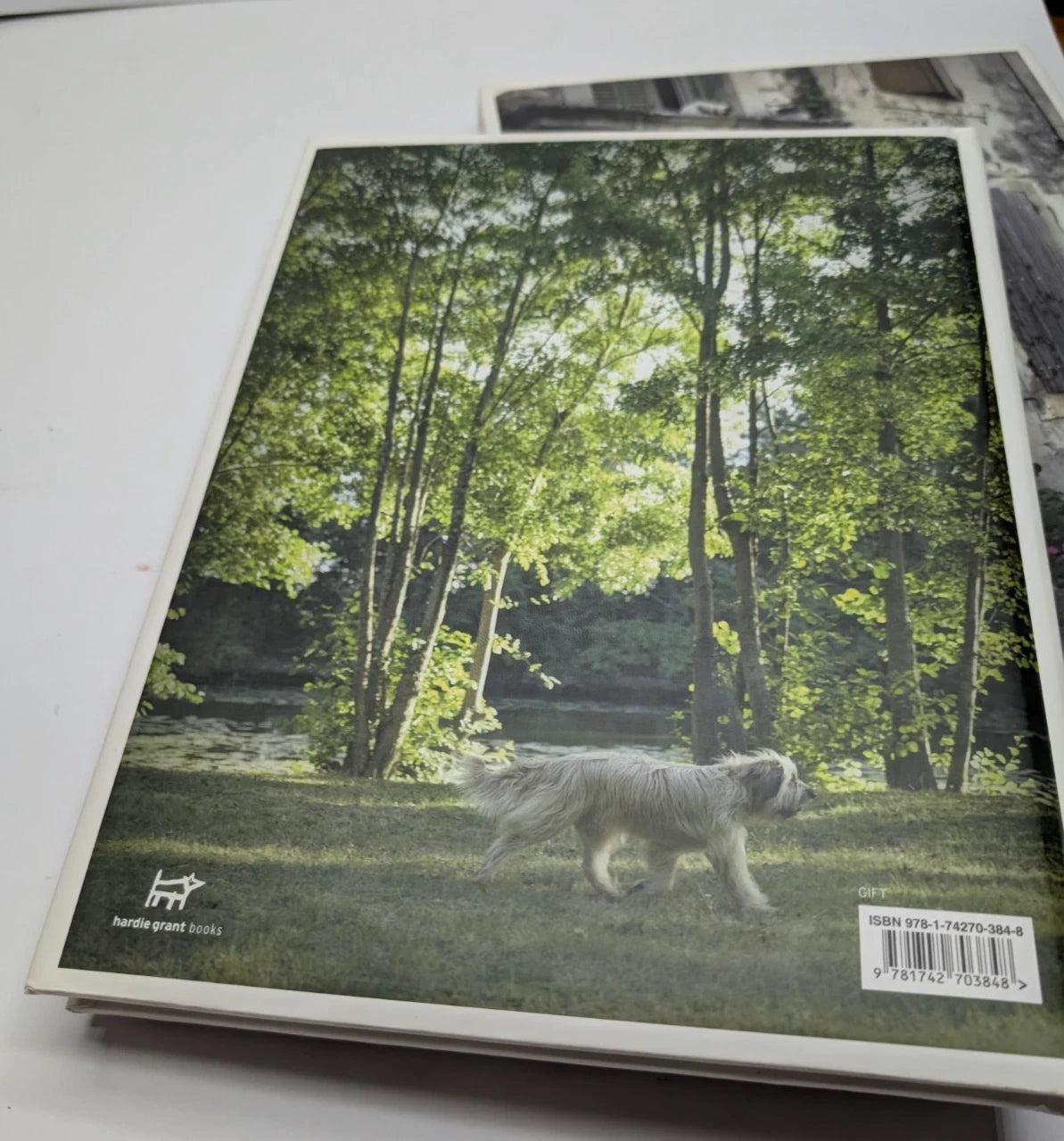 French Dog + French Cat  2 x Books by Rachael McKenna Photographic art