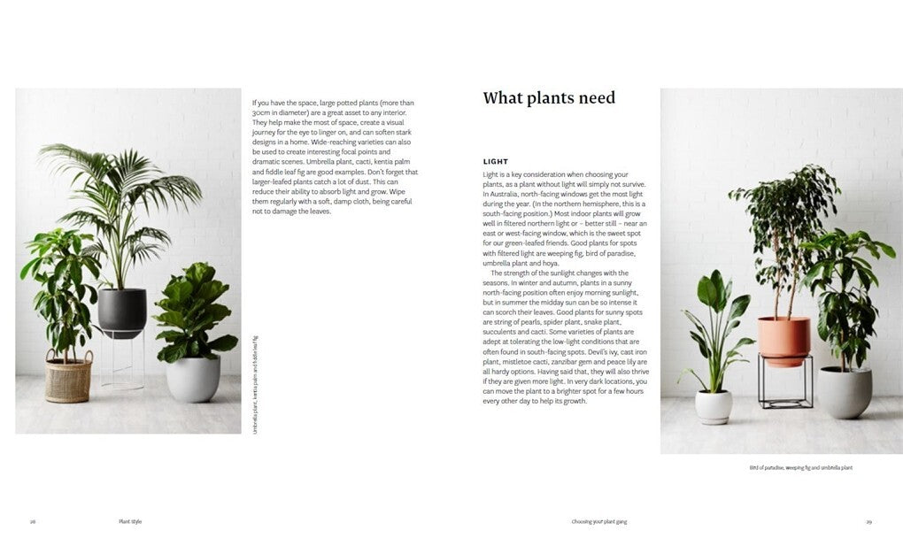 Plant Style: How to greenify your space - book detail 5