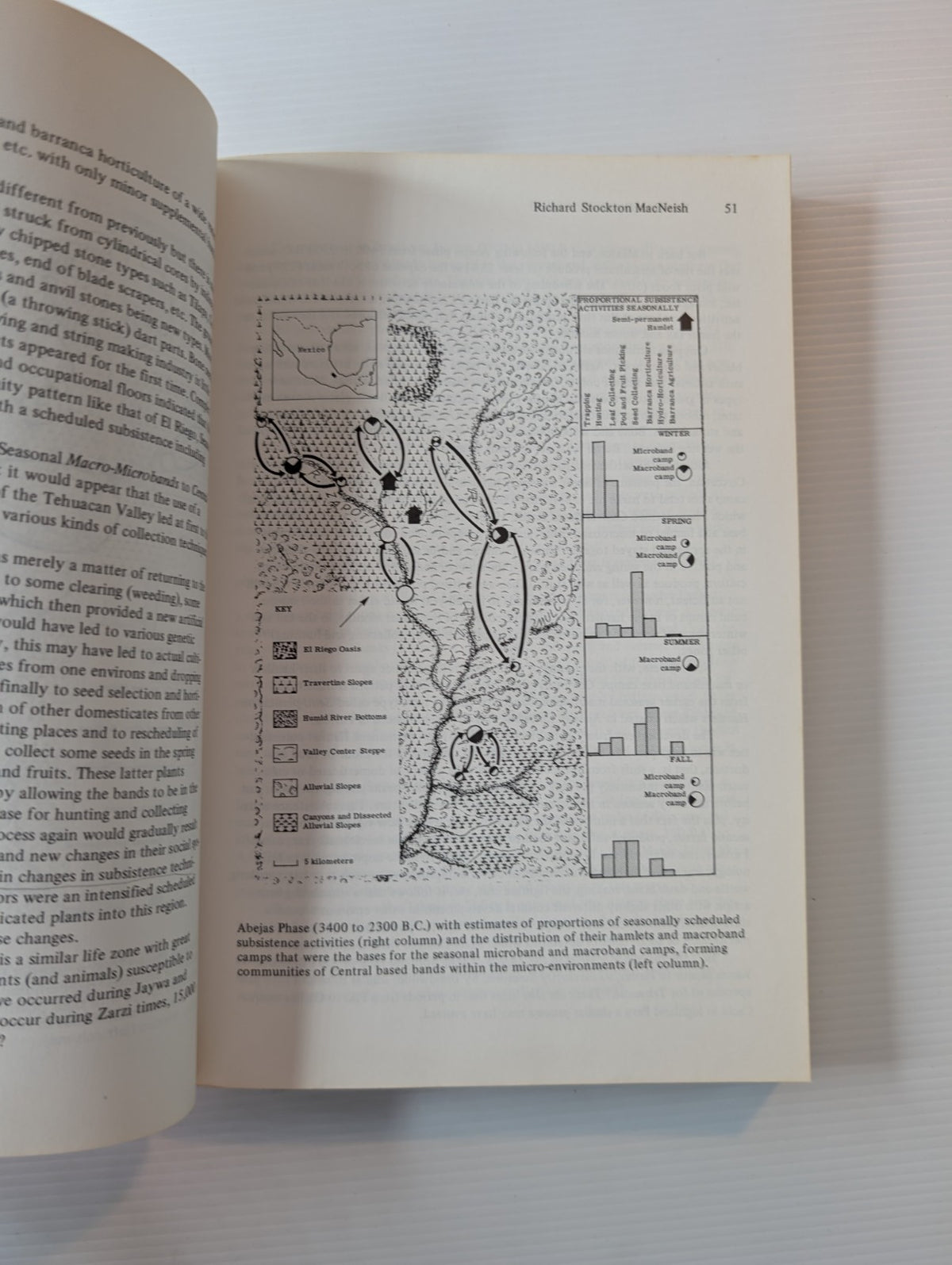 Rise and Fall of Civilizations : Modern Archaeological Approaches to Ancient Cultures by Jeremy A. Sabloff, C. C. Lamberg-Karlovsky - book detail 11