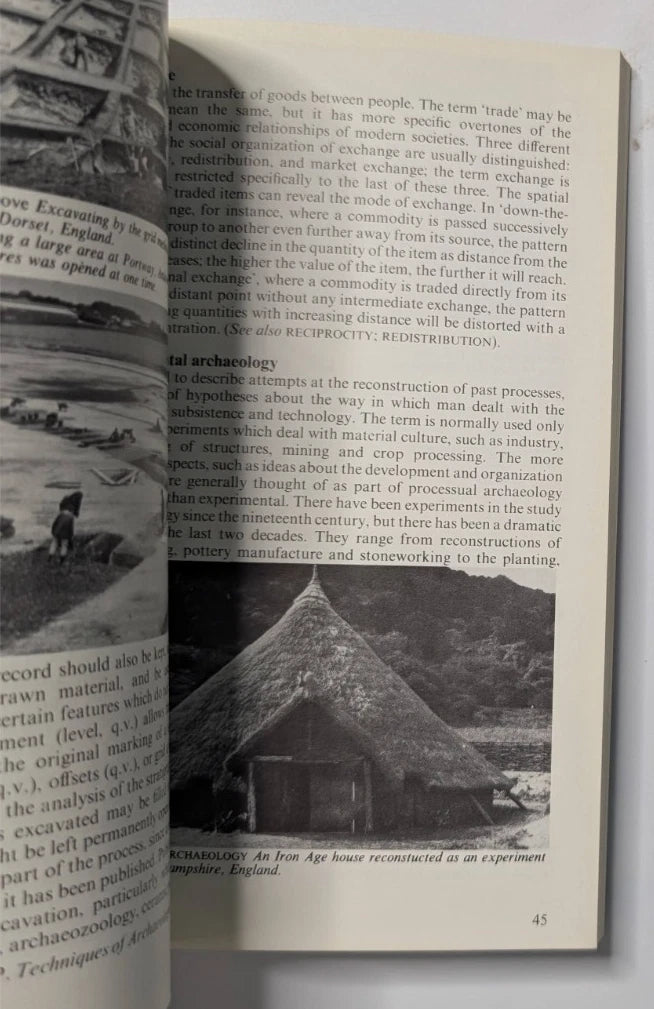 Archaeology Dictionary  by Sara Champion