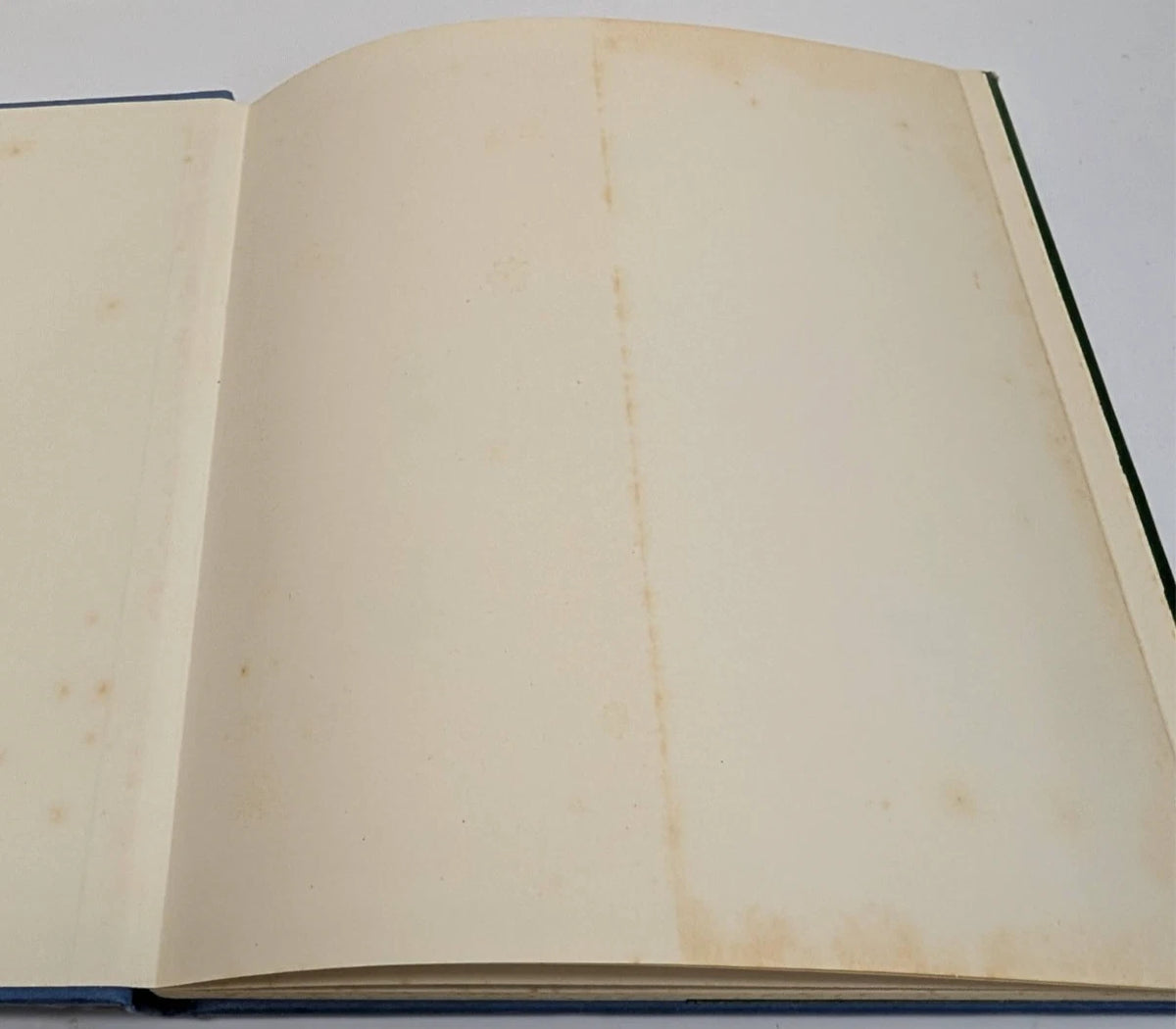 Abroad: A Victorian Excursion to the Continent by Thomas Crane & Ellen Houghton, copy photograph 4