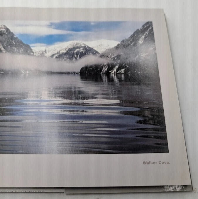 eBay listing 206162048234 photo 8