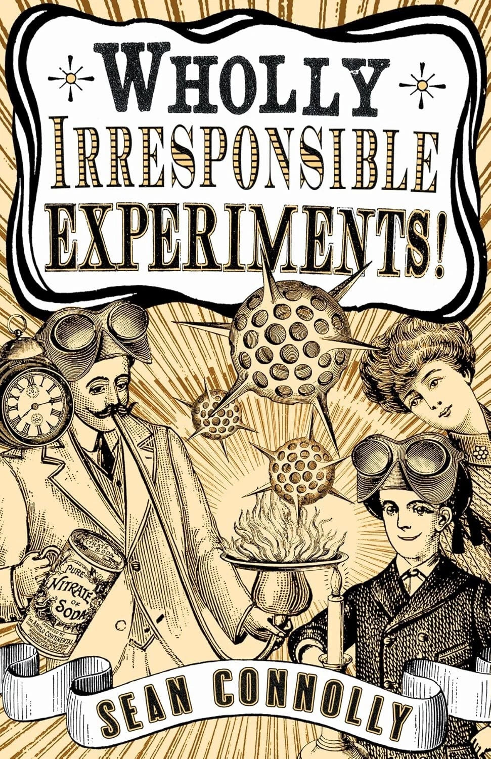 Wholly Irresponsible Experiments! by Sean Connolly (Hardcover 2007) Science