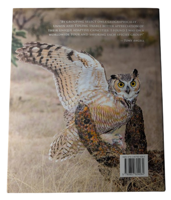 Enigma of the Owl, image 2
