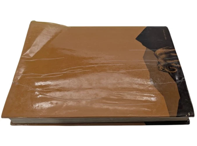 Hannibal, actual copy, photograph 3