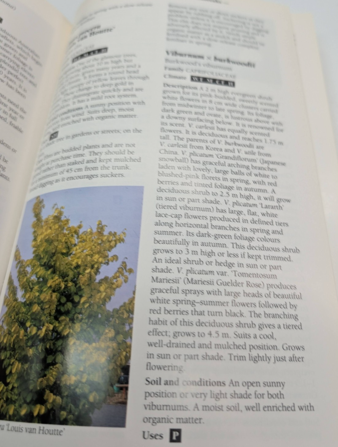 Australian Gardening by Gregorys - book detail 11