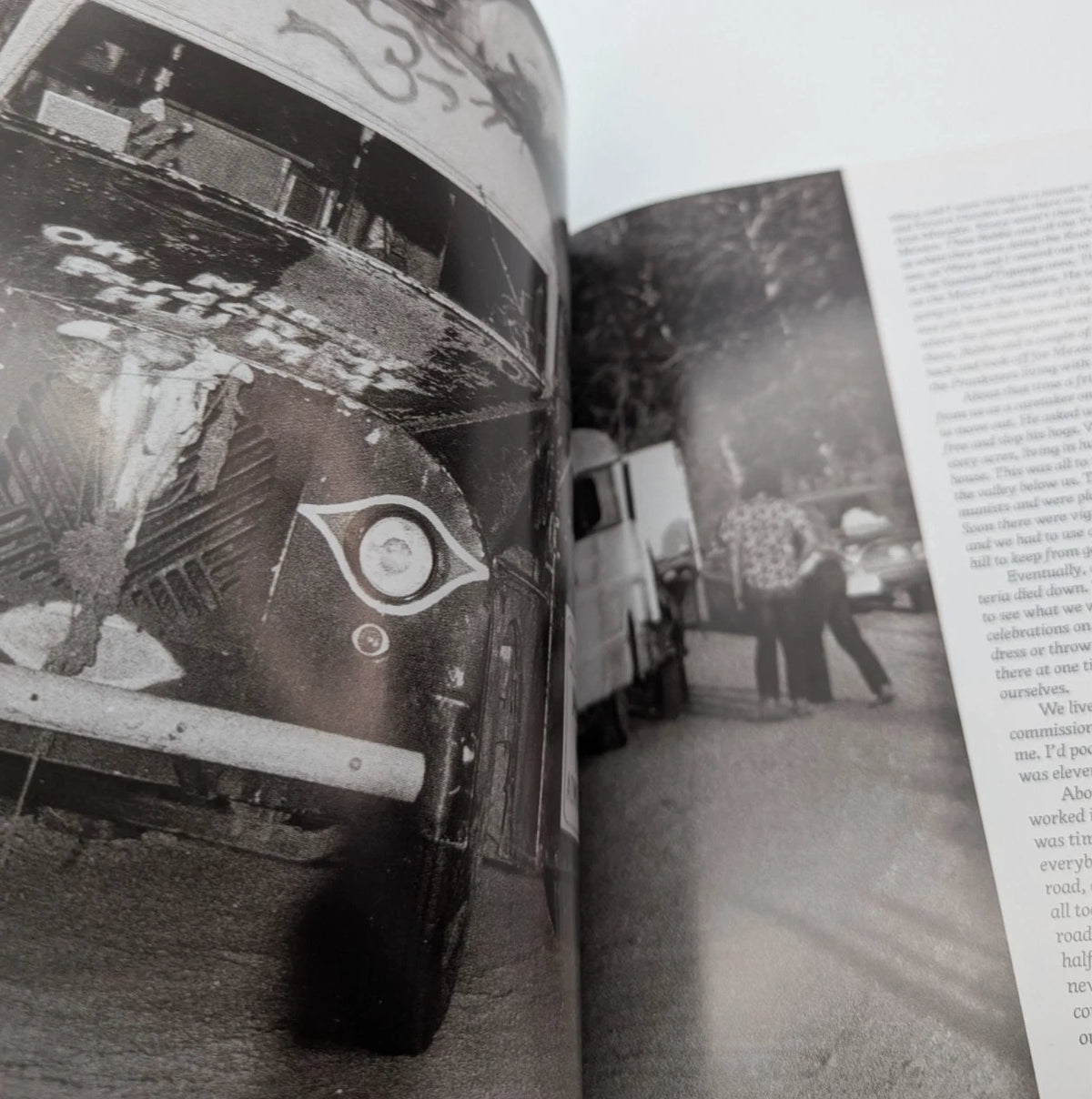 Flashing on the Sixties, actual copy, photograph 12