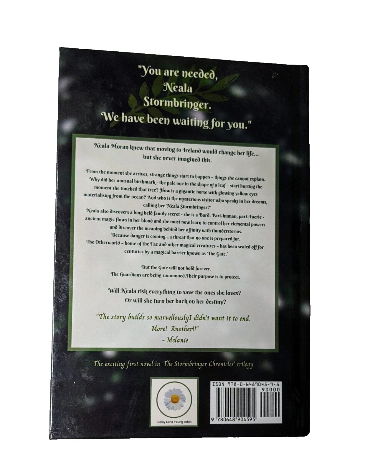 The Bards Of Birchtree Hall: The Stormbringer Chronicles by A. Schubert Book #1