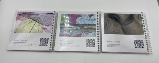 My Dignity Set: All three books spiral bound - post trauma recovery and more - book detail 2