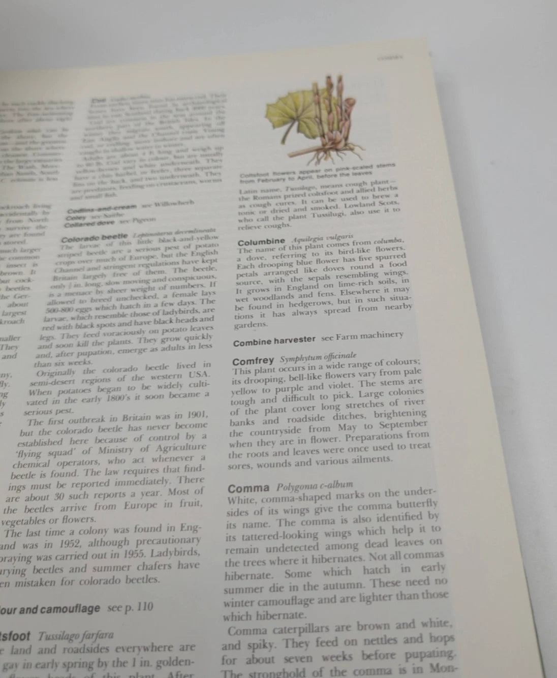 Book of the British Countryside, 1973 hardcover, copy photograph 7