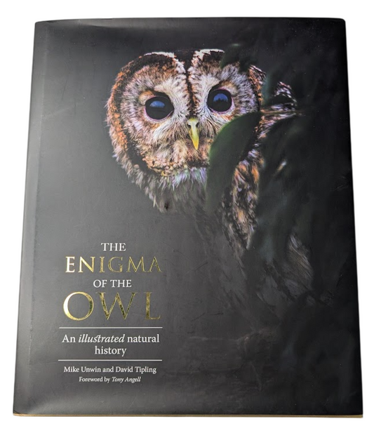 Enigma of the Owl, image 1