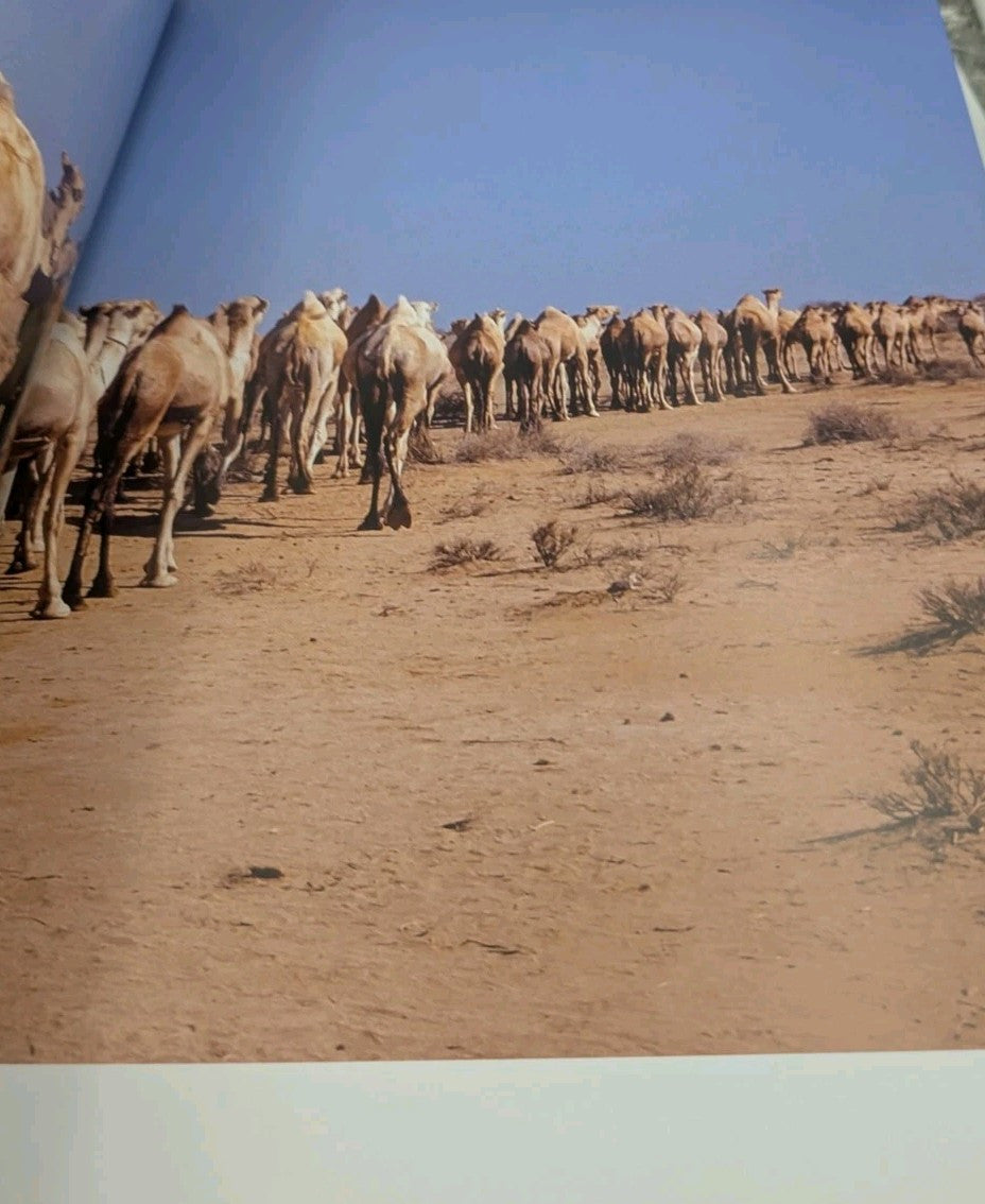 African Twilight Vanishing Rituals and Ceremonies of Africa Beckwith/Fisher RARE