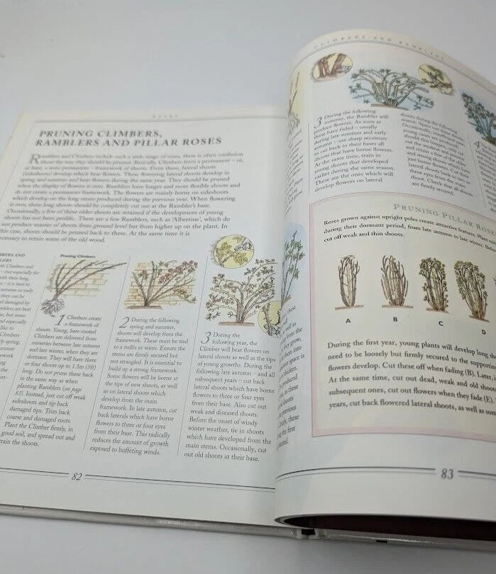 Practical Gardening Roses - Complete Illustrated Plant Guide