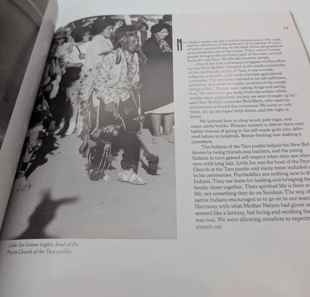 Flashing on the Sixties, actual copy, photograph 13