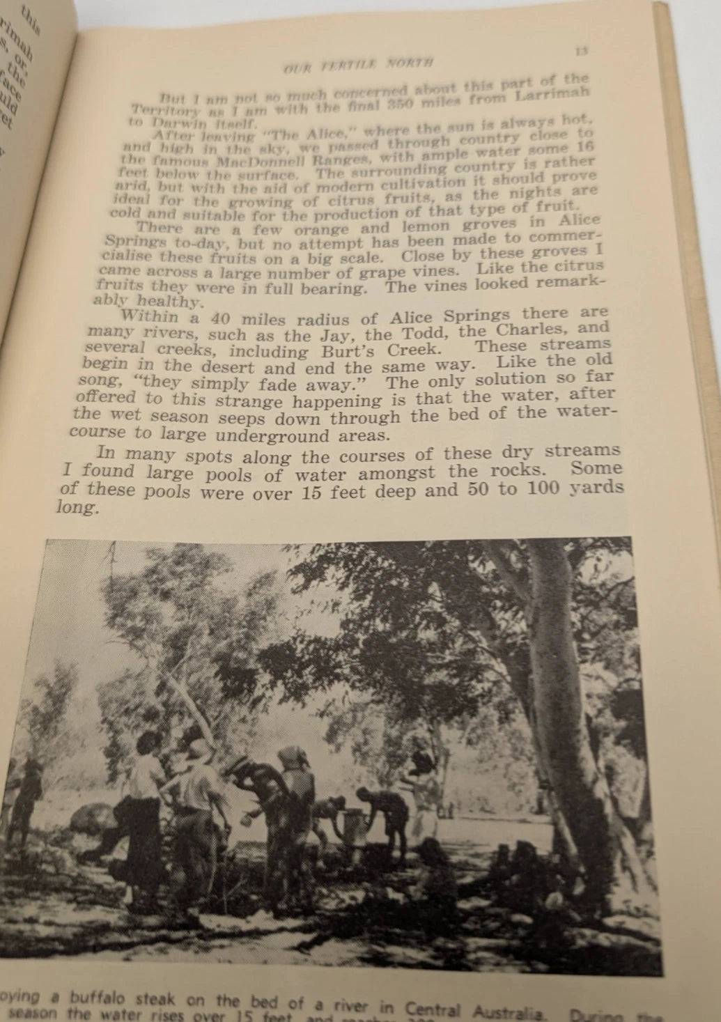 Our Fertile North by H. E. Holland, copy photograph 5