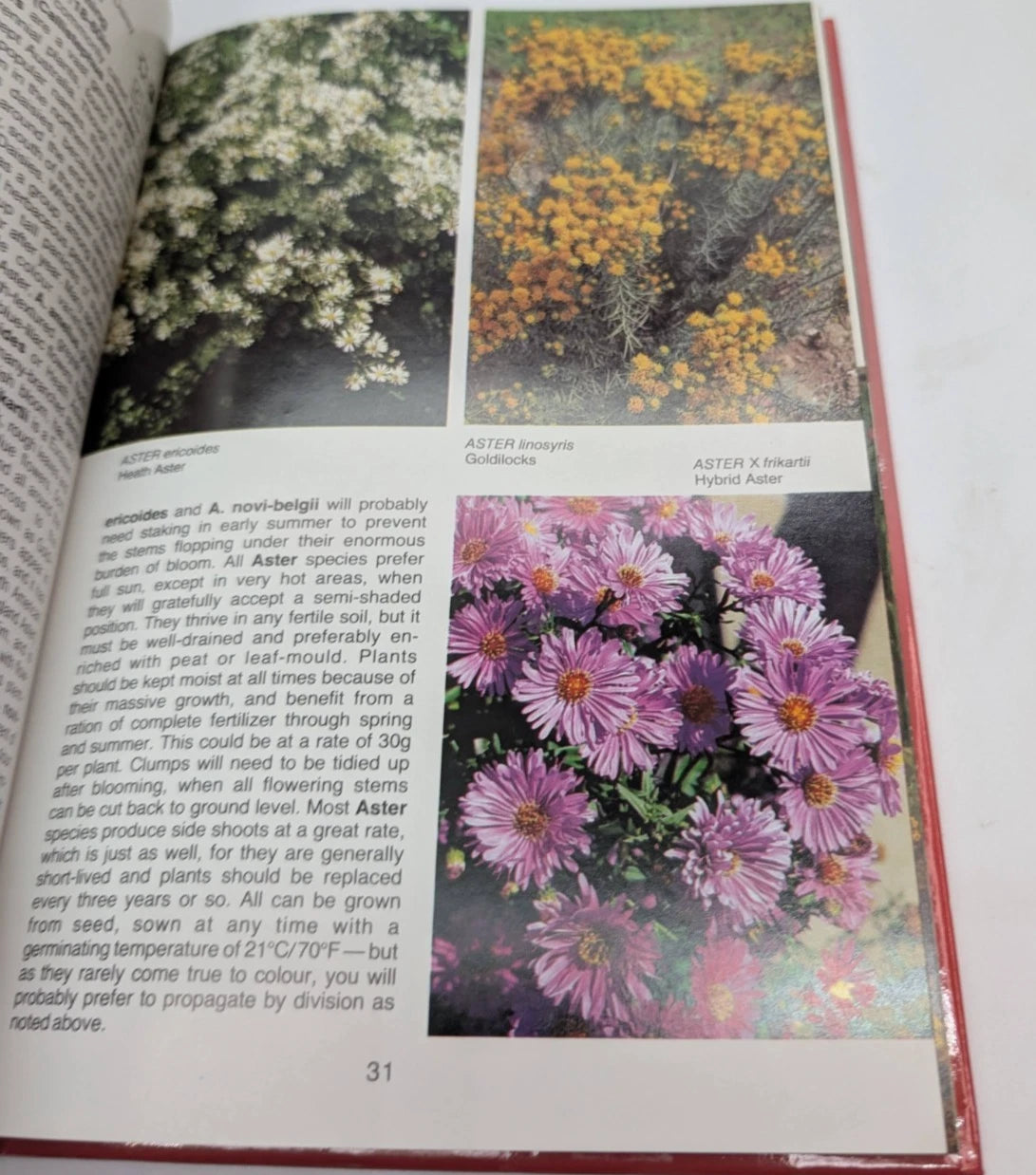 Perennials for All Seasons - Gardening Flowers
