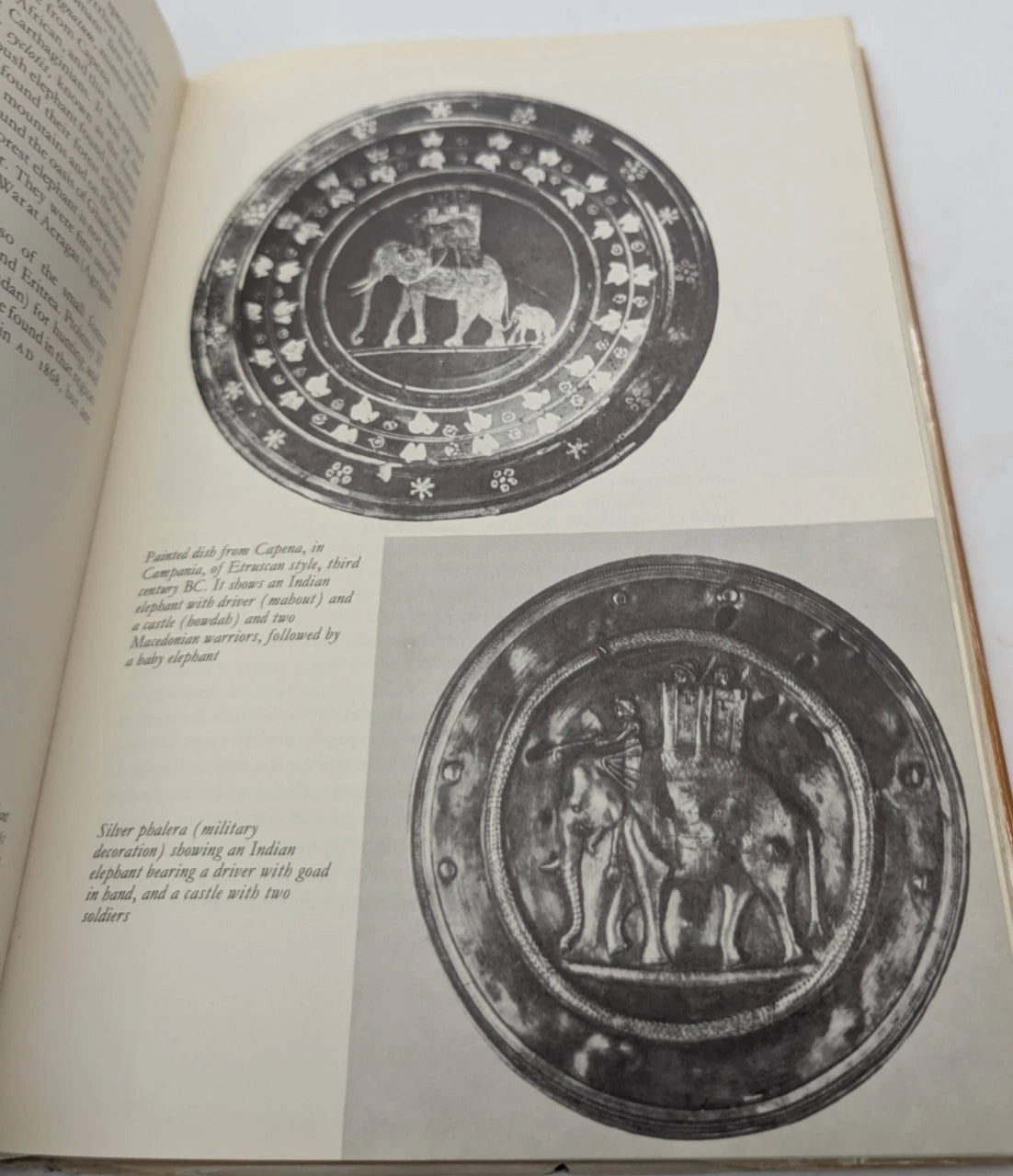 Hannibal, actual copy, photograph 8
