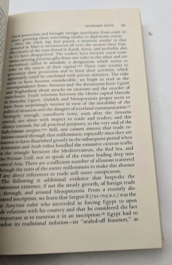 Ancient Mesopotamia Portrait of a Dead Civilization A Leo Oppenheim 1977 Revised