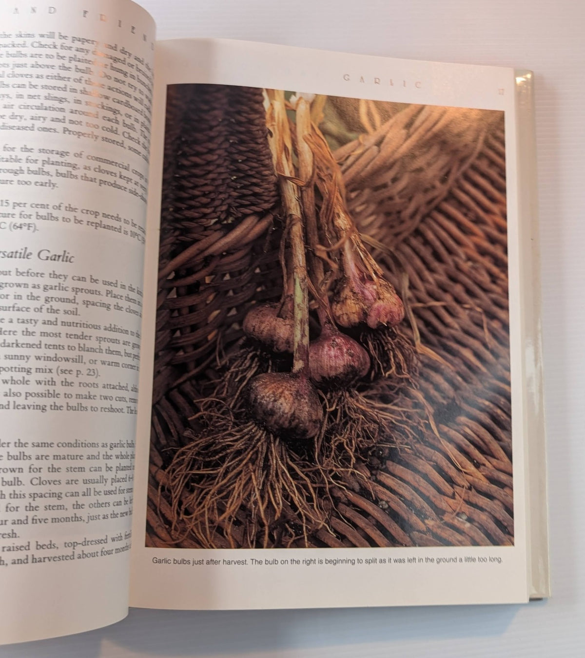 Garlic and Friends Edible Alliums by Penny Woodward - book detail 6
