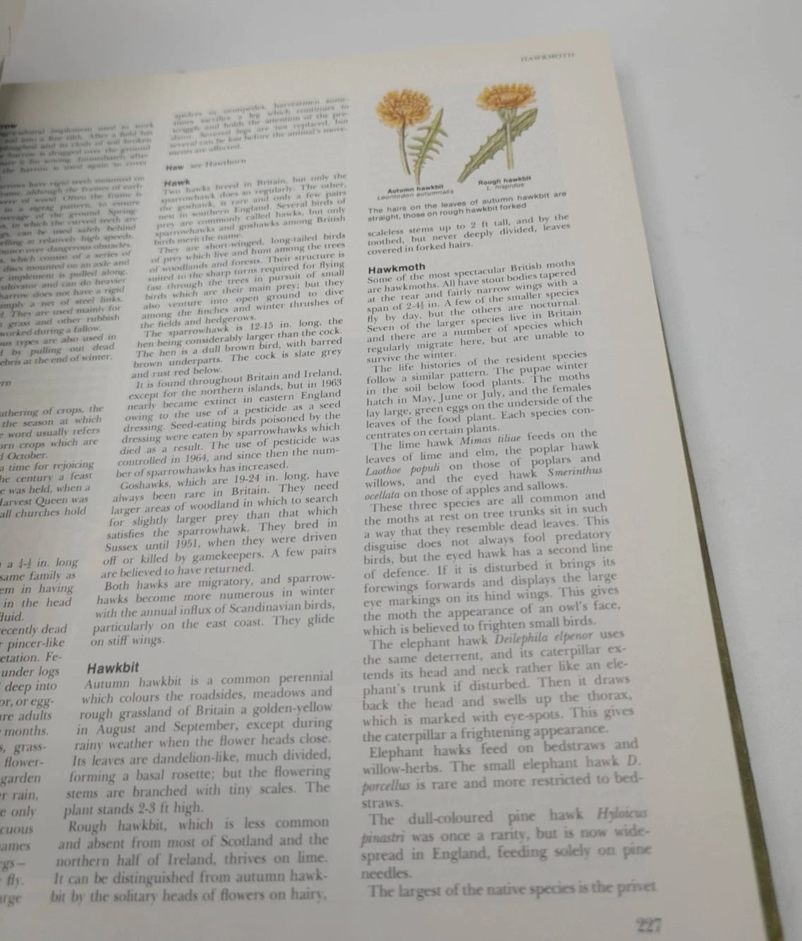 Book of the British Countryside, 1973 hardcover, copy photograph 10