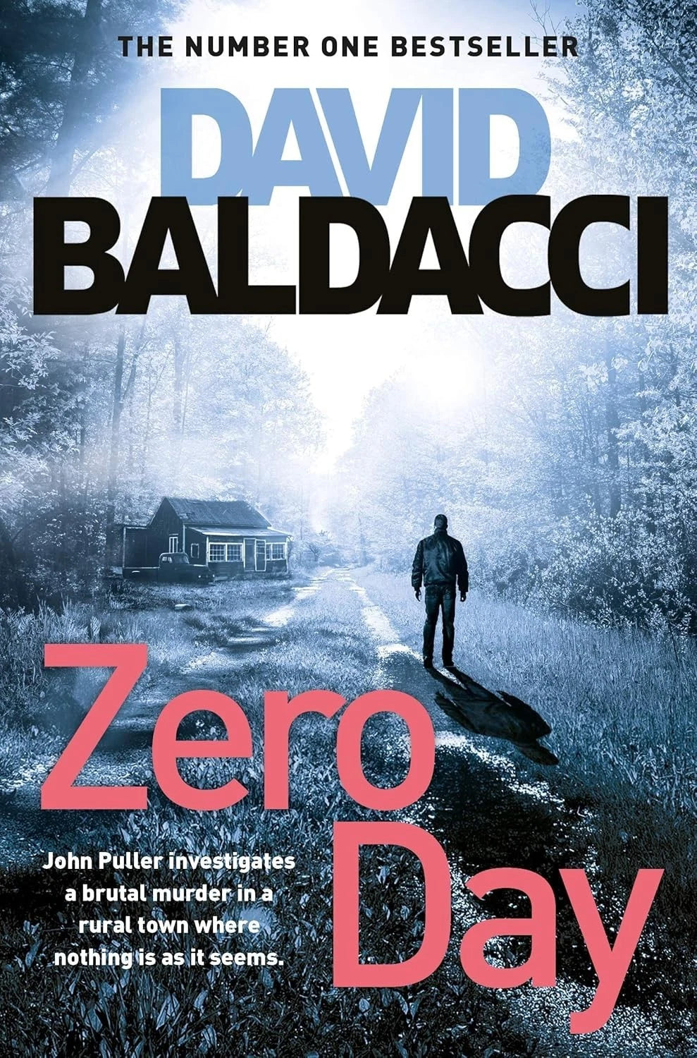Zero Day (John Puller Series)