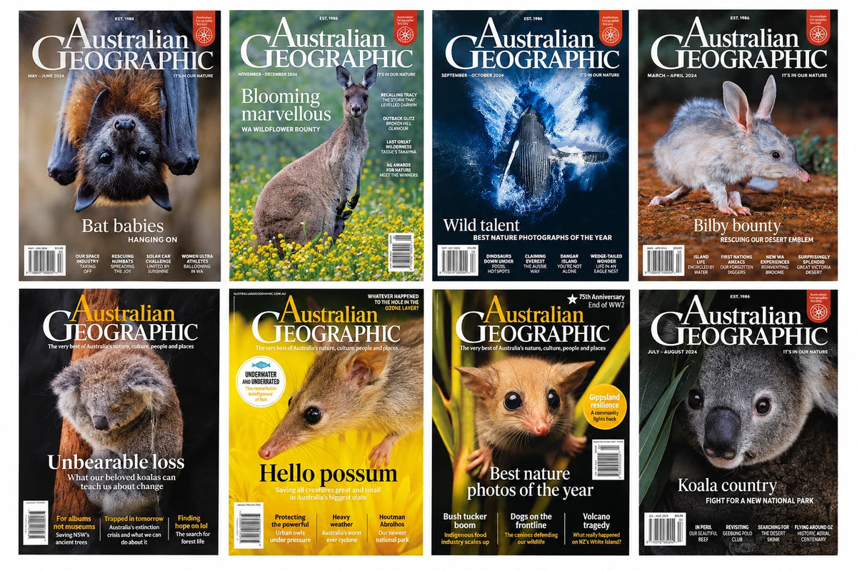Australian Geographic Magazine Bundle: Eight Issues from 2020 and 2024 - front cover