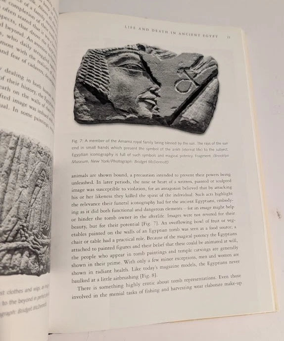 Death in Ancient Egypt by Bridget McDermott - Egyptian Culture