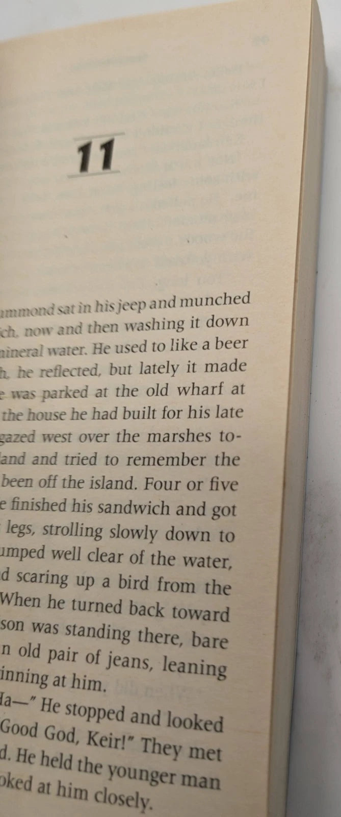 Palindrome by Stuart Woods, copy photograph 3