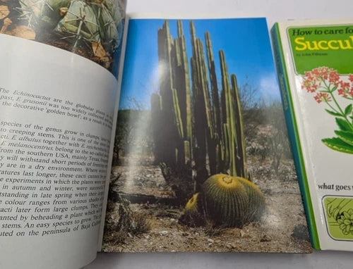 Cacti and Succulents Book Bundle: Illustrated Encyclopedia + Plant Care Guide - photograph 5