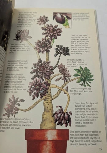 Cacti and Succulents Book Bundle: Illustrated Encyclopedia + Plant Care Guide - photograph 6