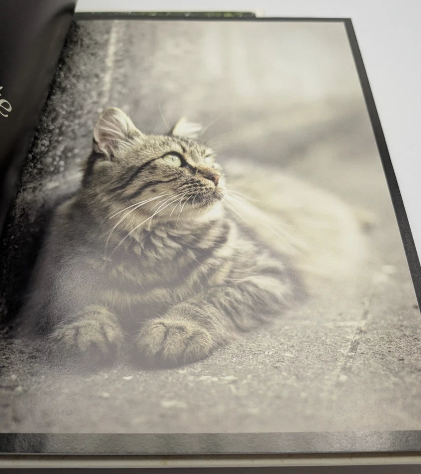 French Dog + French Cat  2 x Books by Rachael McKenna Photographic art