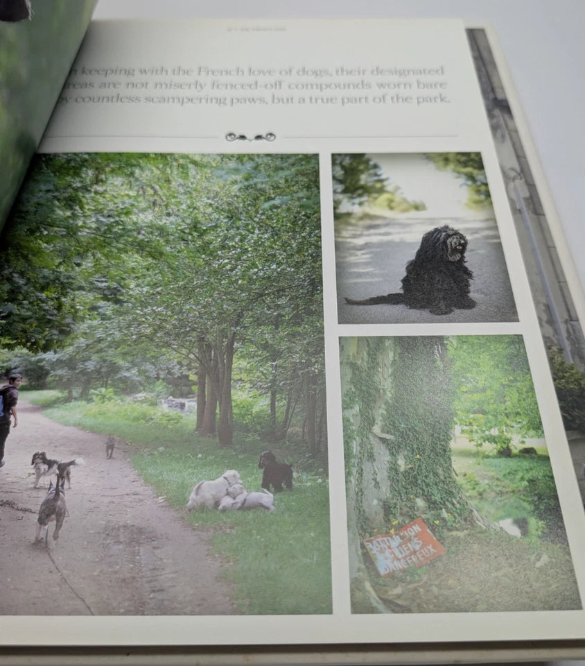 French Dog + French Cat  2 x Books by Rachael McKenna Photographic art