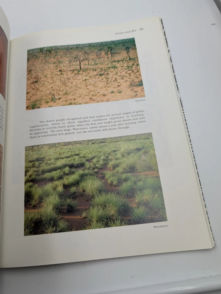 Jilji Life in the Great Sandy Desert Pat Lowe Jimmy Pike Art Stories Culture