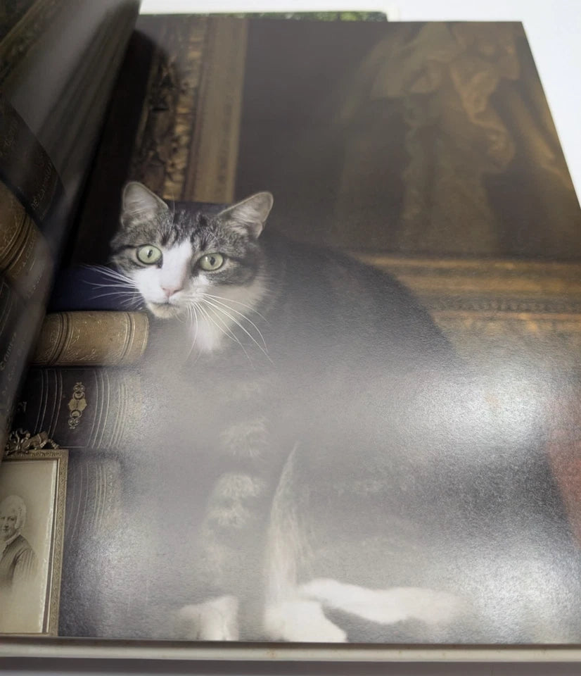 French Dog + French Cat  2 x Books by Rachael McKenna Photographic art
