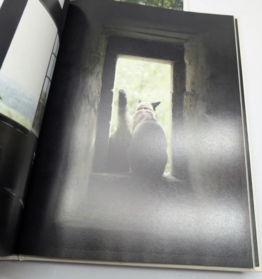French Dog + French Cat  2 x Books by Rachael McKenna Photographic art