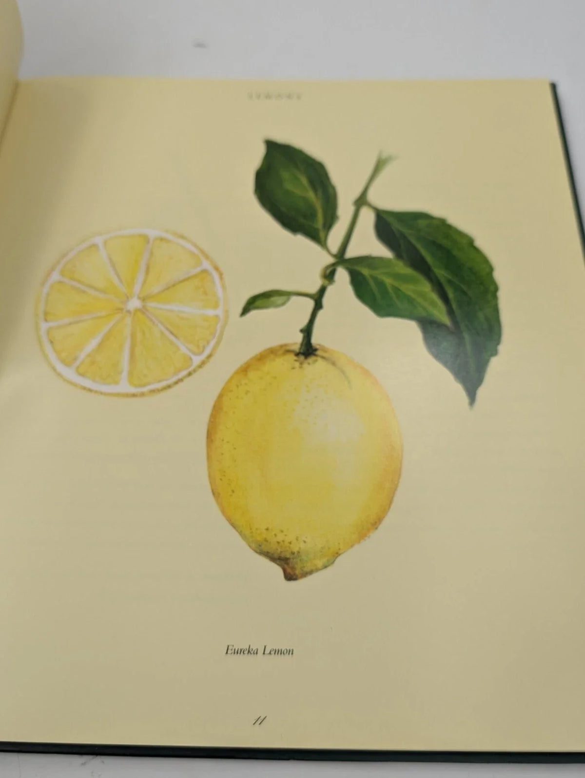 Lemons: A Country Garden Cookbook - Pearl Press photograph 8