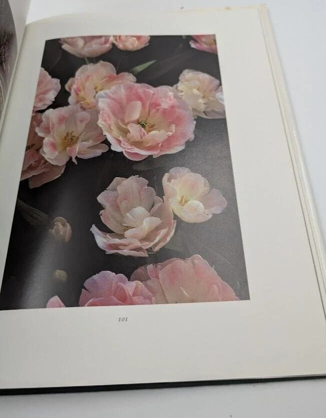 Moments in Eden - Pearl Press photograph 6