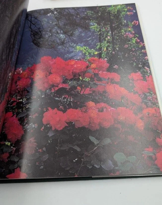 Moments in Eden - Pearl Press photograph 7