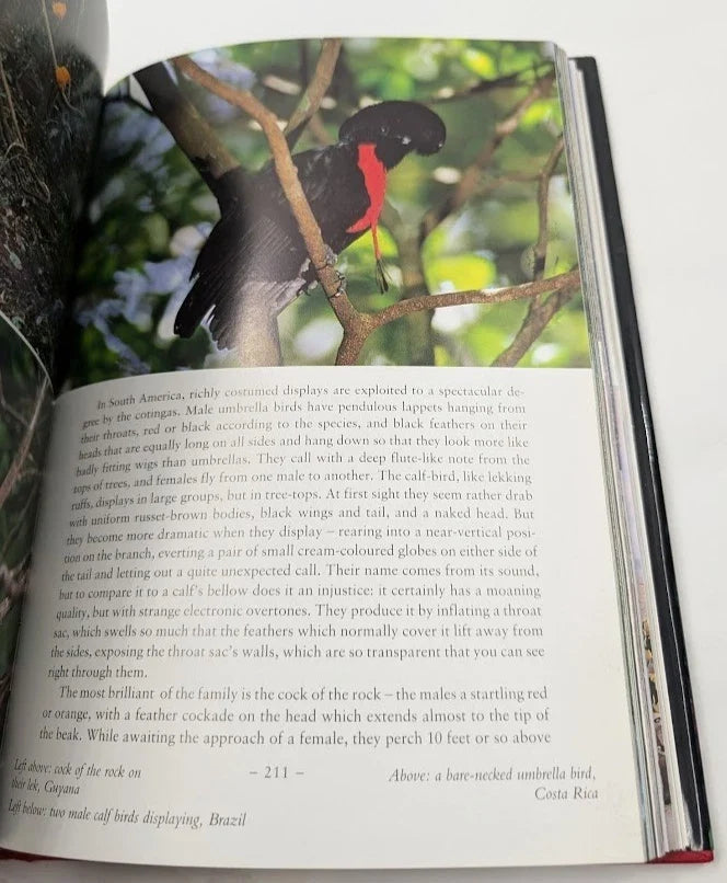 The Life of Birds - Pearl Press photograph 5