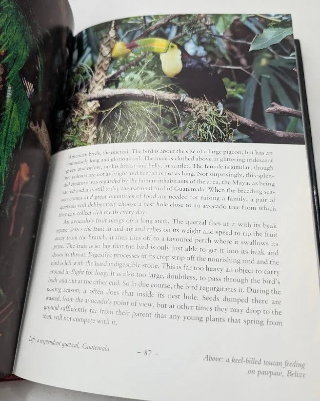 The Life of Birds - Pearl Press photograph 6