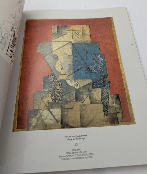 Picasso 1881–1973 NGV exhibition - Pearl Press photograph 5