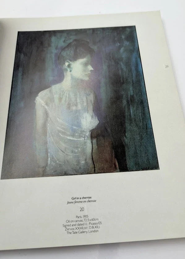 Picasso 1881–1973 NGV exhibition - Pearl Press photograph 7