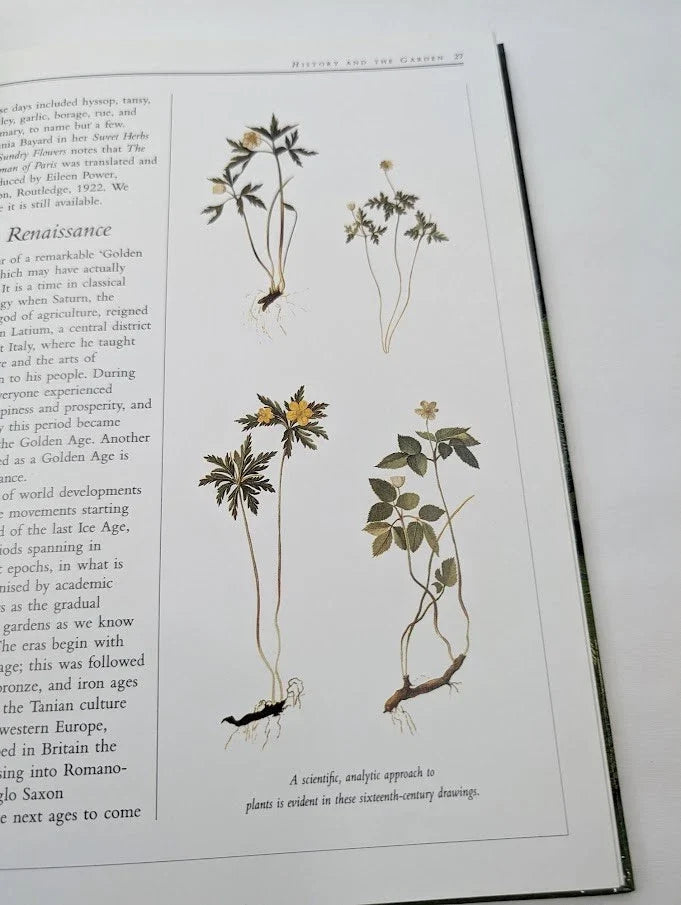 Fragrant Garden - Pearl Press photograph 8