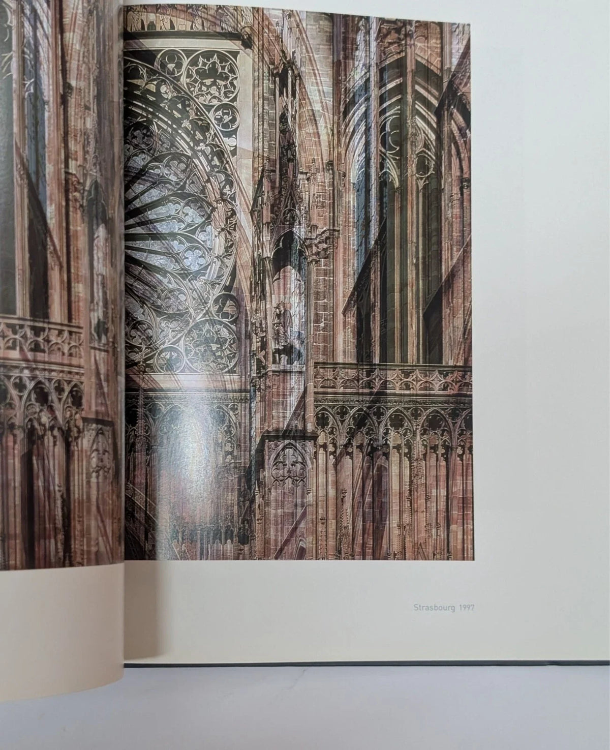 Roland Fischer - Pearl Press photograph 6