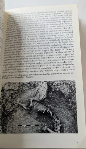 A Dictionary of Terms and Techniques in Archaeology, actual copy, photograph 4 of 7