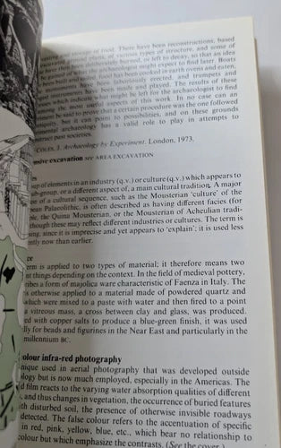 A Dictionary of Terms and Techniques in Archaeology, actual copy, photograph 6 of 7