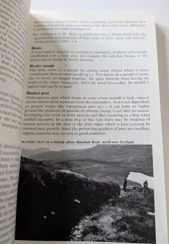 A Dictionary of Terms and Techniques in Archaeology, actual copy, photograph 5 of 7